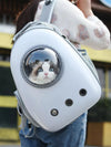 Space Capsule Transparent Pet Carrier Backpack — Bubble Backpack for Small Dogs & Cats