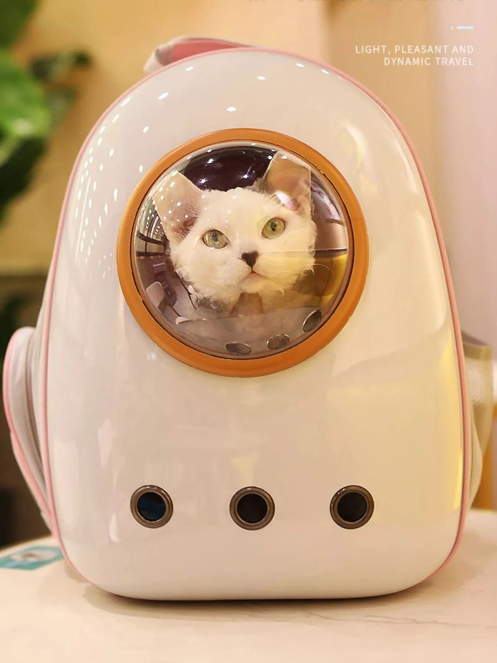 Space Capsule Transparent Pet Carrier Backpack — Bubble Backpack for Small Dogs & Cats