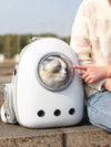 Space Capsule Transparent Pet Carrier Backpack — Bubble Backpack for Small Dogs & Cats