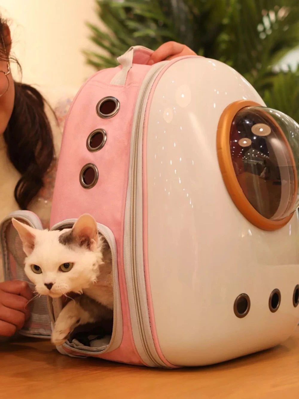 Space Capsule Transparent Pet Carrier Backpack — Bubble Backpack for Small Dogs & Cats